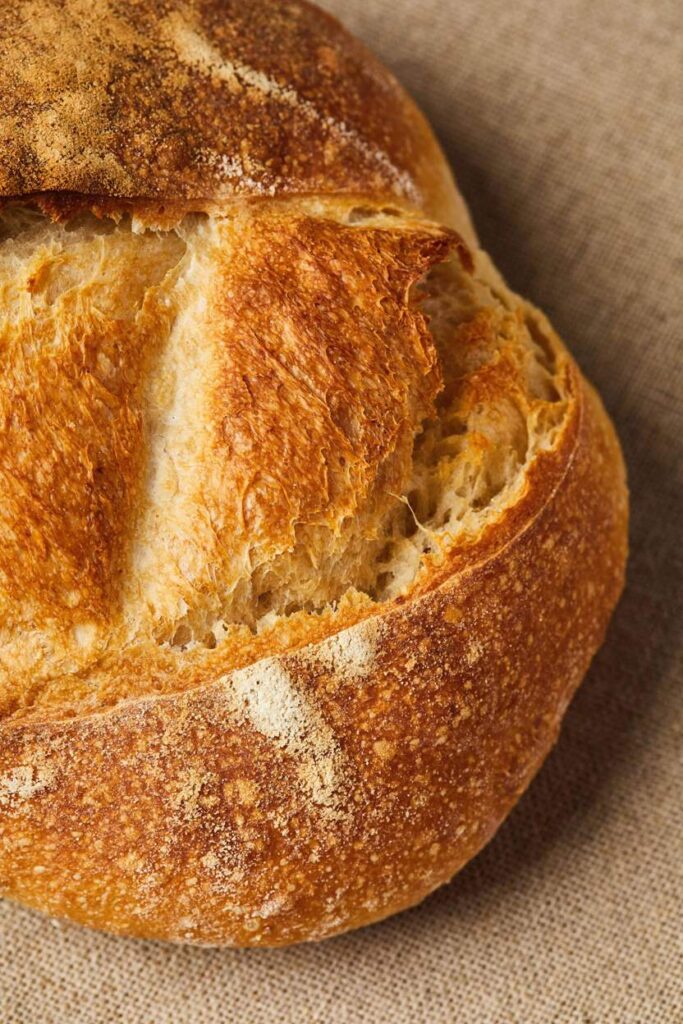 Moara Gliga | Paine cu maia